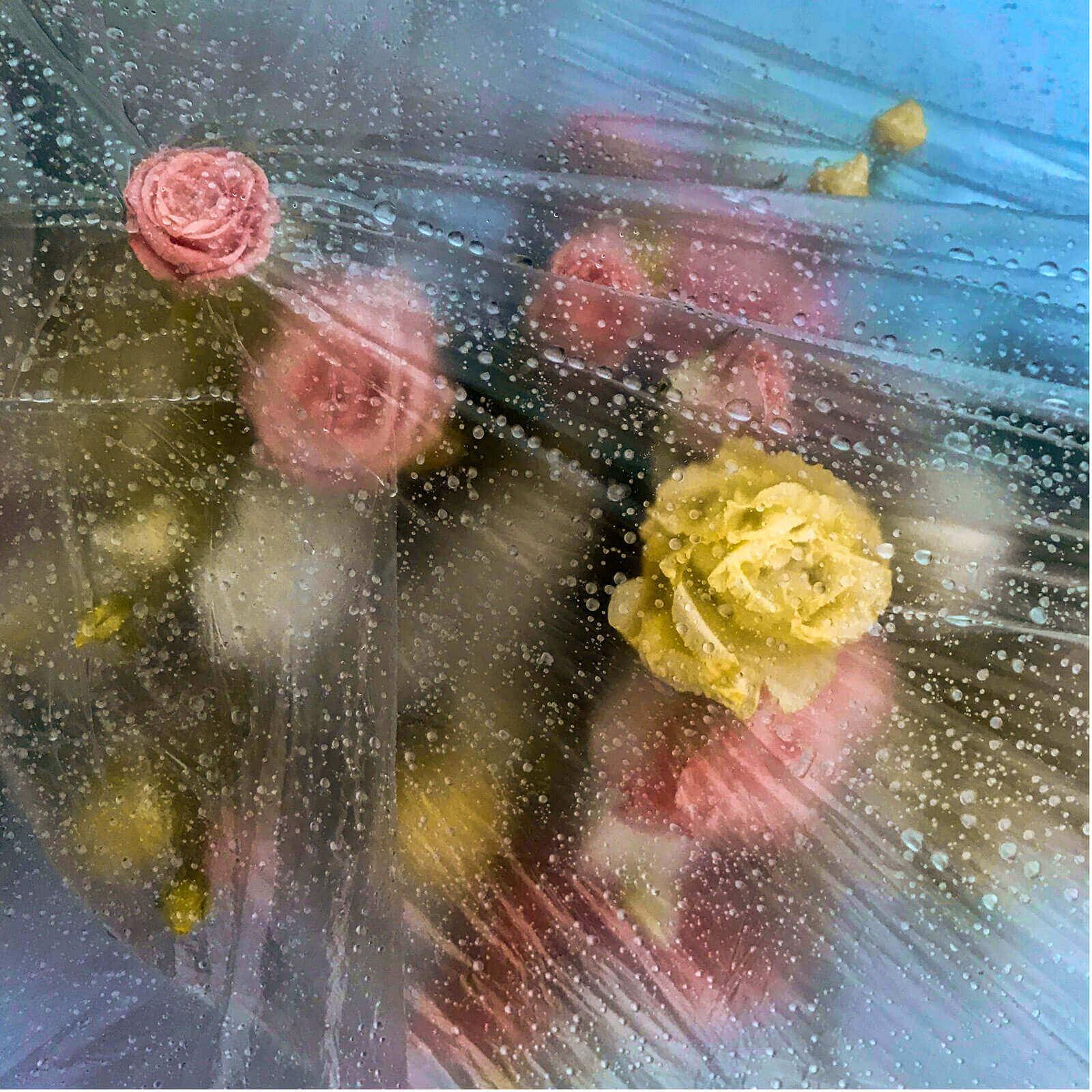 fiori-e-pioggia